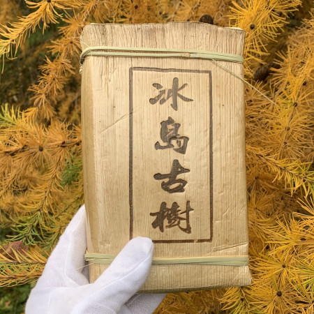 Шен пуэр Bing Dao Gu Shu кирпич 2015 года 500 г